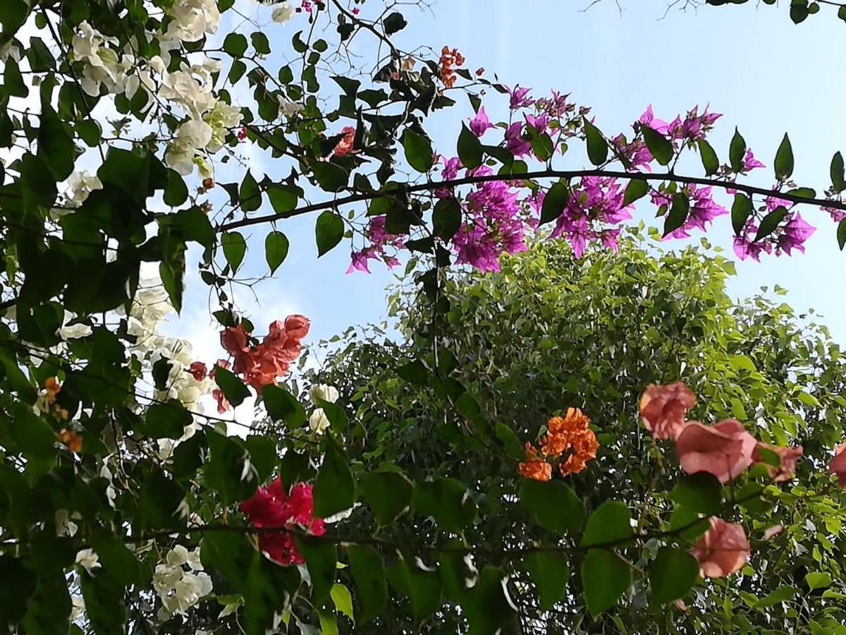Riad Asmaa Agadir Azrarag Bagian luar foto