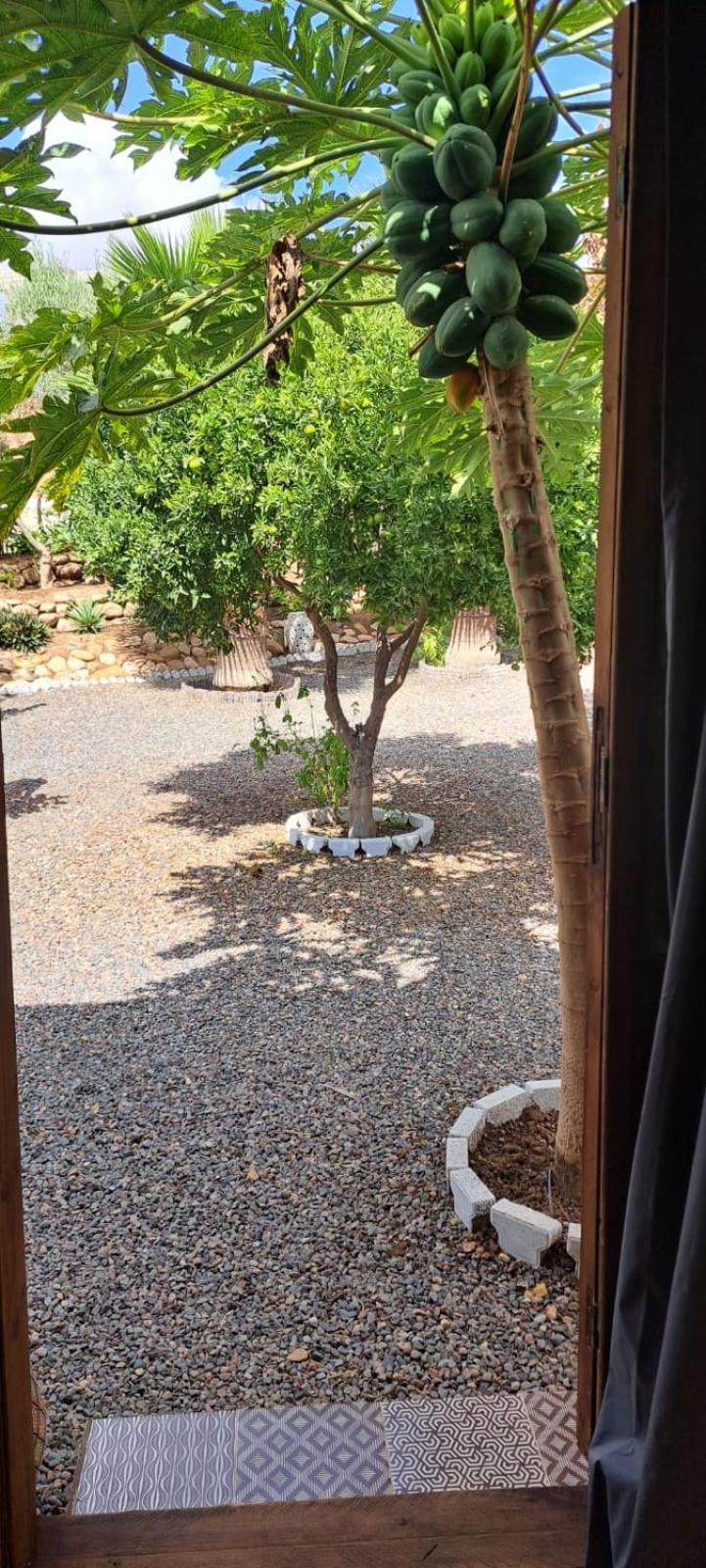 Riad Asmaa Agadir Azrarag Bagian luar foto